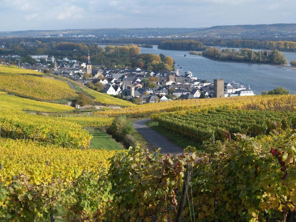 Hotel Ruedesheimer Hof Rüdesheim nad Renem Pokój zdjęcie